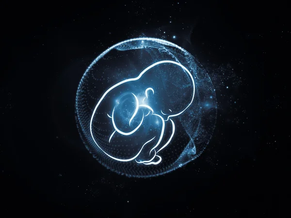 比喩的な胎児 — ストック写真