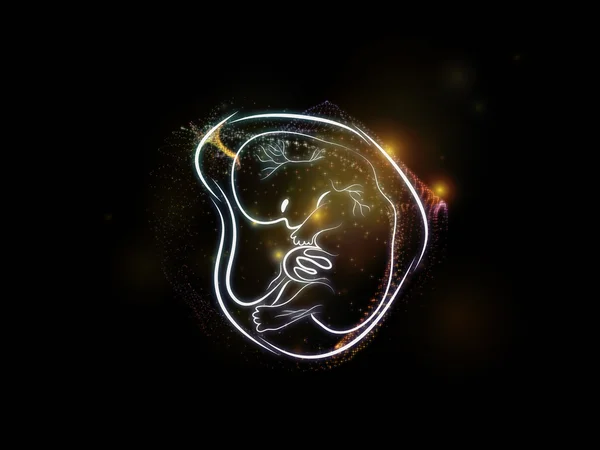 Evoluzione del feto — Foto Stock