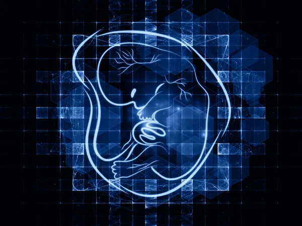 Conceptual Fetus — Stock Photo, Image