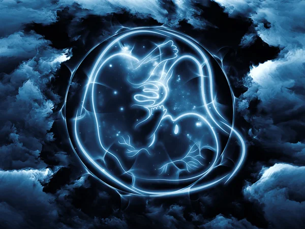 Visualização do feto — Fotografia de Stock