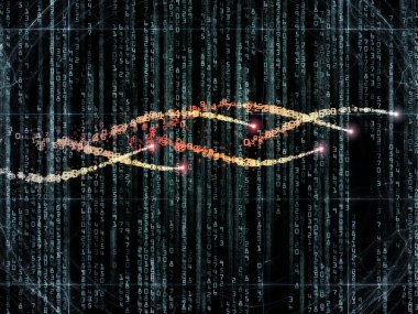 Çalışan numaraları