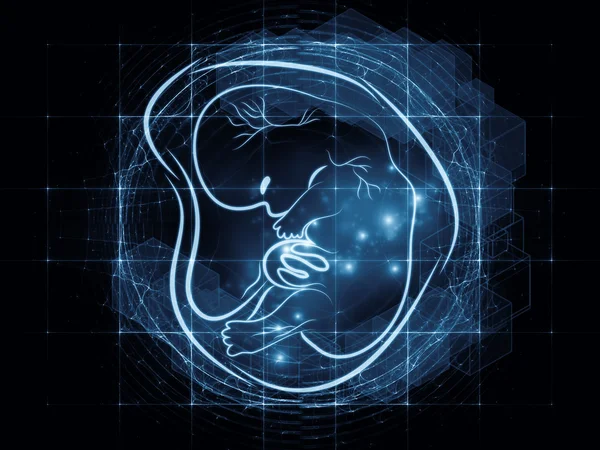 Visualizzazione del feto — Foto Stock