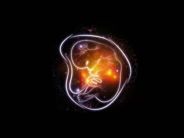 Vita interna del feto — Foto Stock