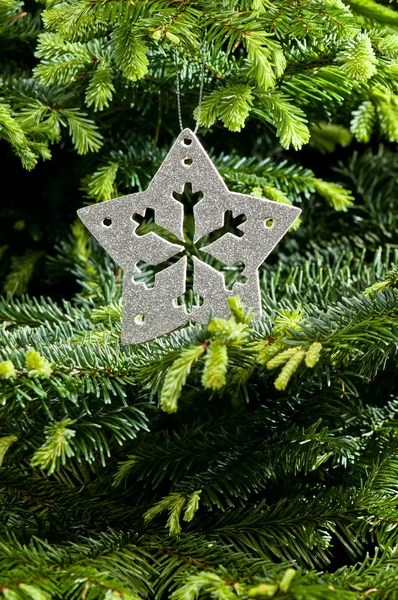 Silver Christmas ornament — Stock Photo, Image