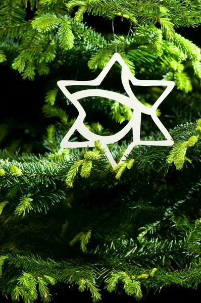 Décoration de Noël en forme d'étoile — Photo