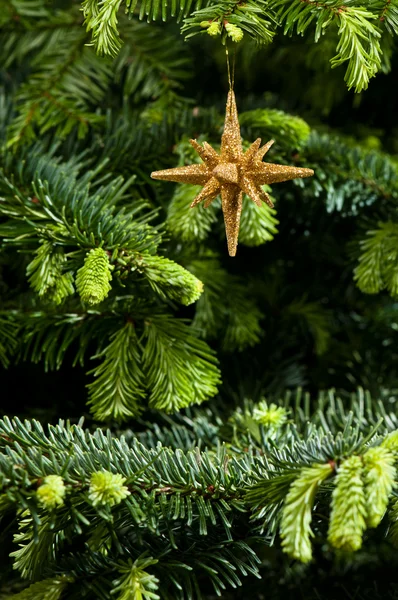 Adorno de Navidad en forma de estrella en oro —  Fotos de Stock