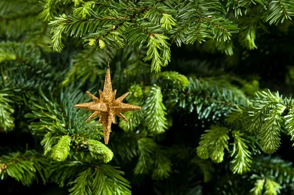Sternförmiger Weihnachtsschmuck in Gold — Stockfoto