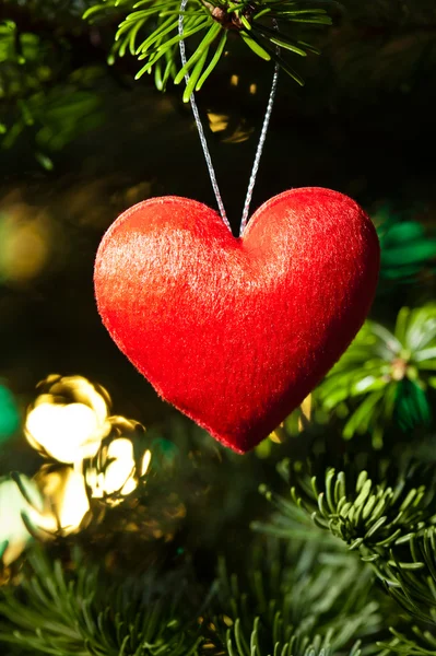 Red heart in Christmas tree — Stock Photo, Image
