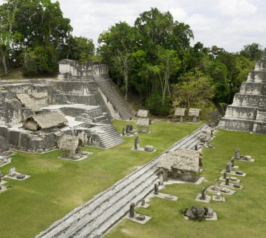 Antik Maya harabelerini orman tikal