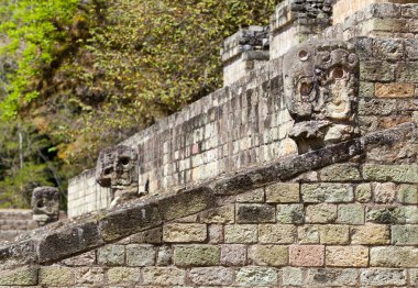 Maya ruins in jungle Copan clipart
