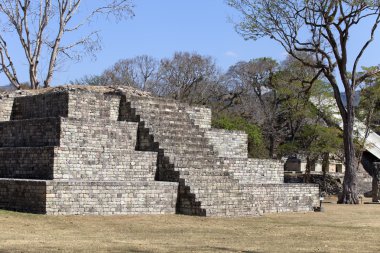 copan Maya Harabeleri