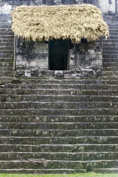 Antiche rovine maya nella giungla Tikal — Foto Stock