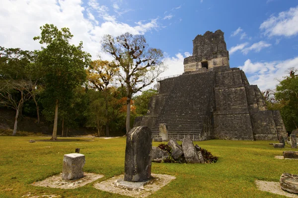 Oude Maya ruïnes in jungle tikal — Stockfoto