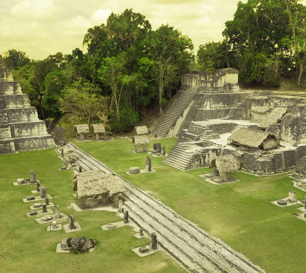 Antiche rovine maya nella giungla Tikal — Foto Stock