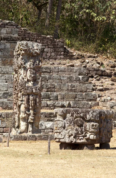 Ruiny Majów w dżungli copan — Zdjęcie stockowe