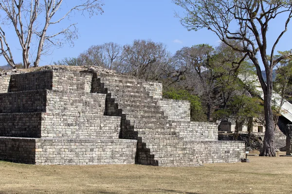 Maya ruiny copan — Stock fotografie