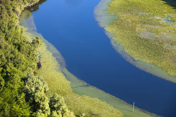 Rivière coule à travers les verts — Photo