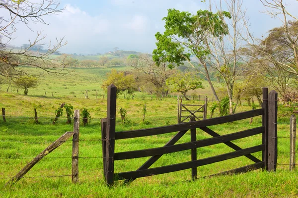 Portão de madeira no campo verde — Fotografia de Stock