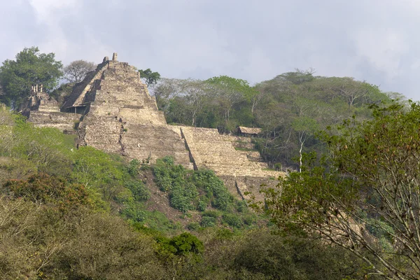 Ruiny Majów w dżungli, tonina w Meksyku — Zdjęcie stockowe