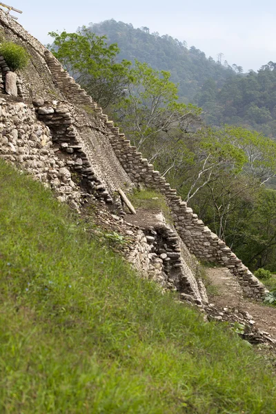 階段をマヤ遺跡のジャングル メキシコで — ストック写真