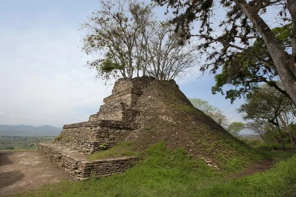 Träd iup till maya ruiner tonina, maxico — Stockfoto