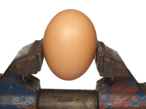 El huevo se sujeta en el vicio viejo, aislado sobre un fondo blanco —  Fotos de Stock