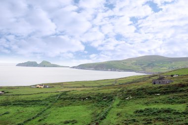 Green irish fields and islands view