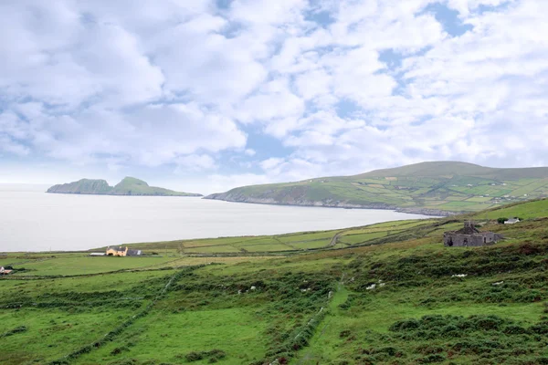爱尔兰的绿色原野和群岛查看 — 图库照片