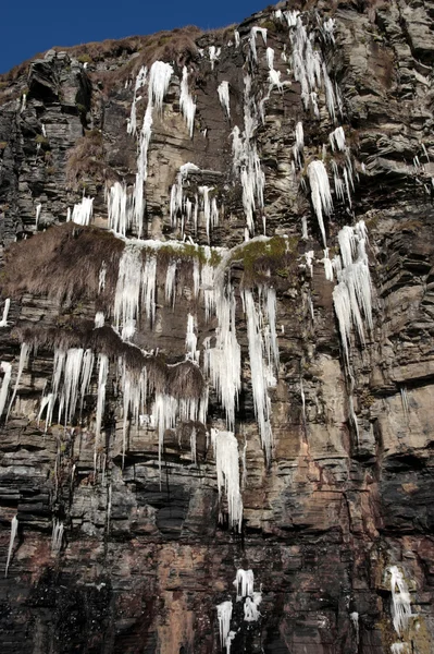 Cascade van ijspegels op een rotswand — Stockfoto
