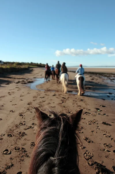 Ponnyridning på en strand — Stockfoto