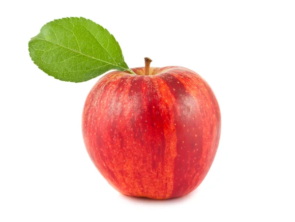 Свежее красное яблоко с зеленым листом — стоковое фото