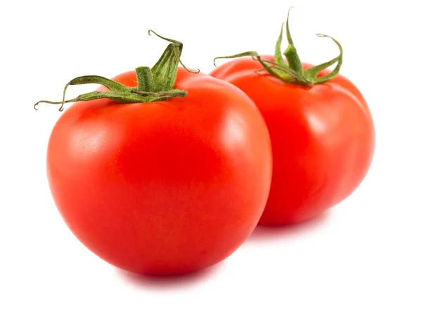 Dwie dojrzałe pomidory — Zdjęcie stockowe