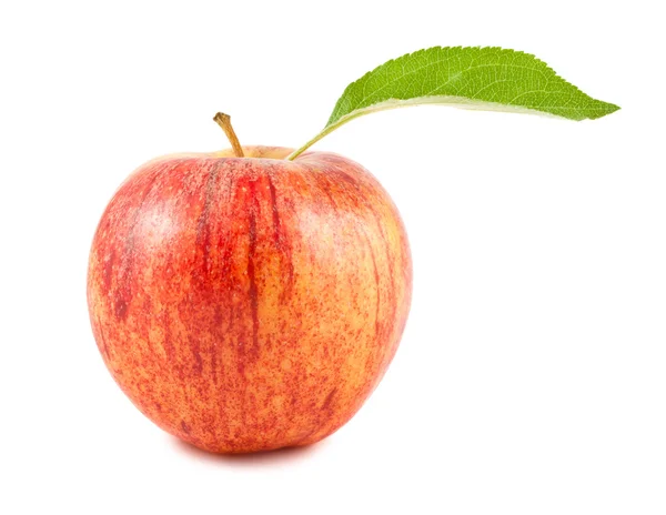 Rött äpple med grönt blad — Stockfoto