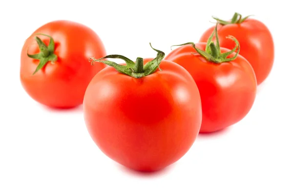 Čtyři zralé rajčata — Stock fotografie