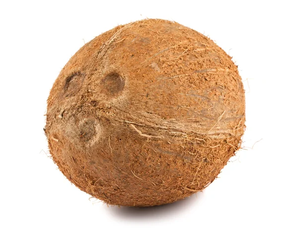 Стиглі кокосового — стокове фото