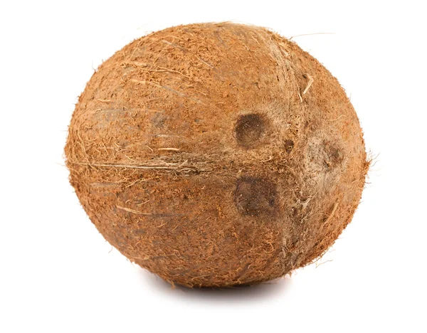 熱帯ココナッツ — ストック写真