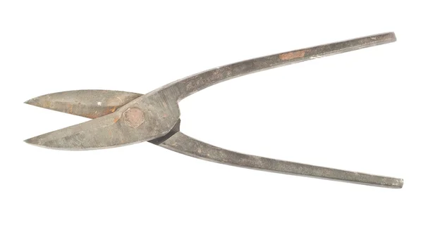 Eski paslı timsah makas — Stok fotoğraf