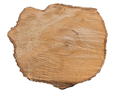 Cross section of tree stump clipart