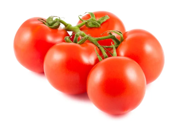 Pět červených zralá rajčata — Stock fotografie