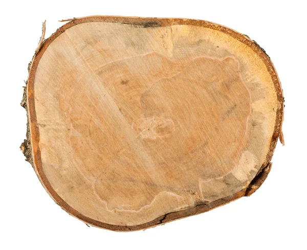 나무 그 루터 기 상위 뷰 — 스톡 사진