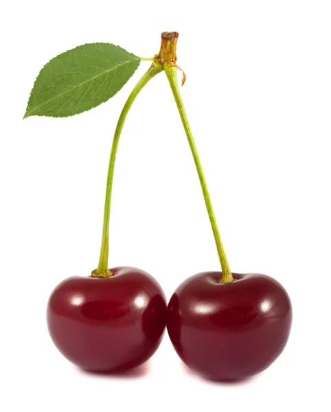 stock image Pair of red cherries with green leaf