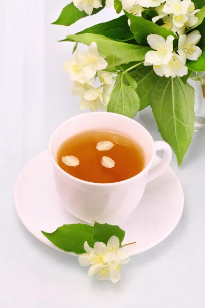 White cup with jasmine tea and flowers — Stock Photo, Image