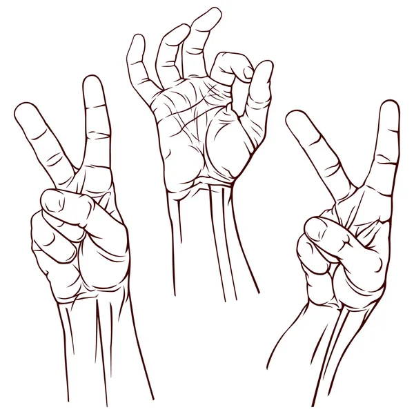 Set of three hands — Stock Vector