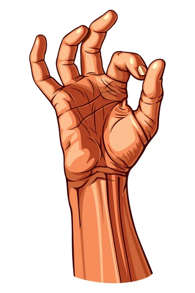 OK Hand Gesture — Stock Vector