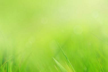 Abstract, soft grass background clipart