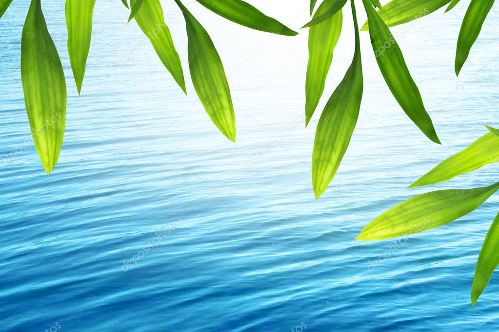 Beautiful bamboo background with blue water