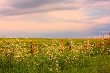 Scenic Scottish landscape clipart