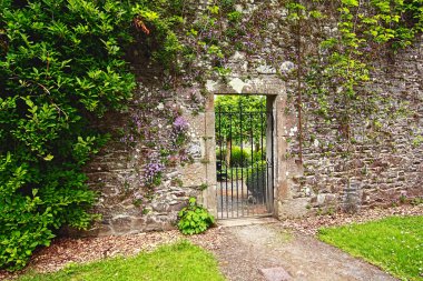 Old, stone garden wall with metal gate clipart