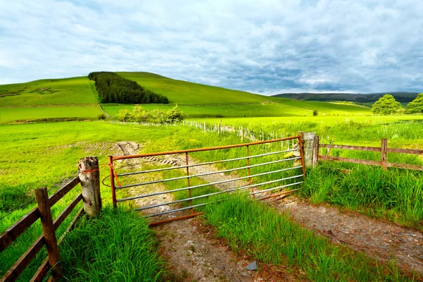 Paisaje rural de primavera en Escocia — Foto de Stock
