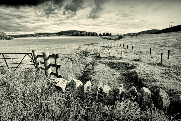 Paisaje rural de primavera con muro de piedra, Escocia — Foto de Stock